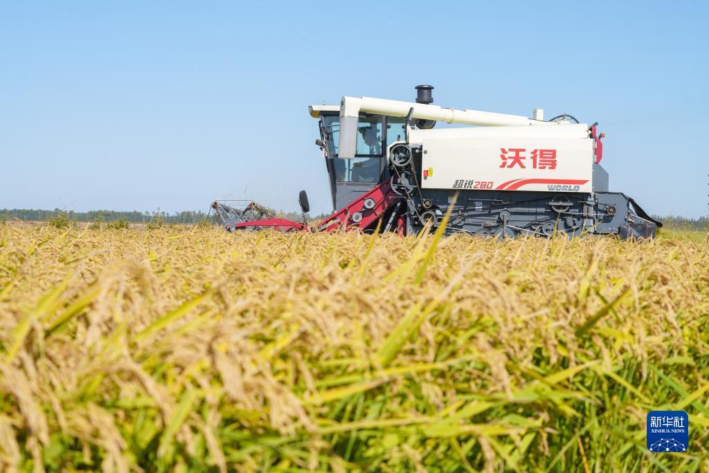 奥门误乐域